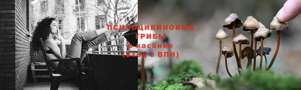 дурь Лихославль