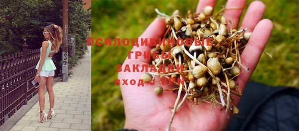 дурь Лихославль